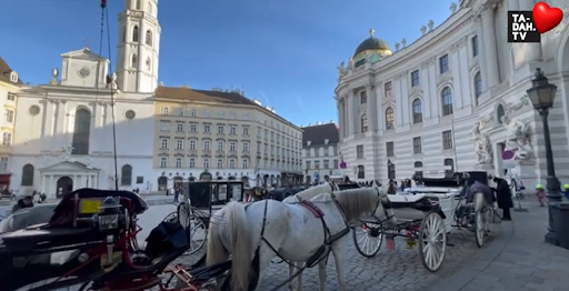 TA-DAH.TV go for a ride on a horse drawn carriage tour - one of the best things to do in Vienna on Valentine’s Day